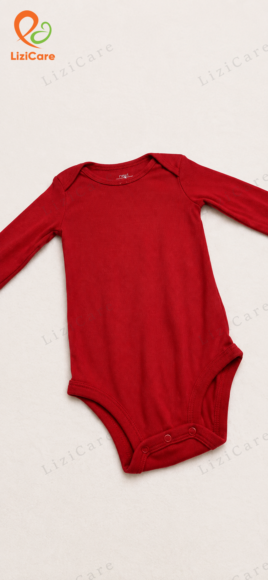 body chip DT 24M